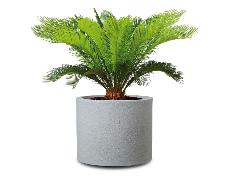 Scheurich Květináč Riva (Stony Grey, Ø 50 cm)
