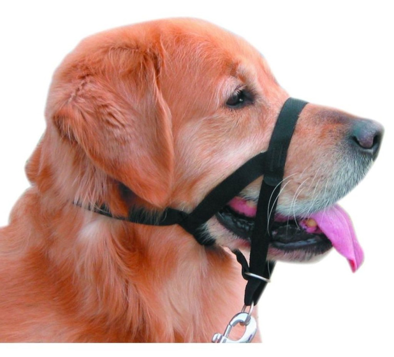 Nobby Easy Leader ohlávka vel. 4