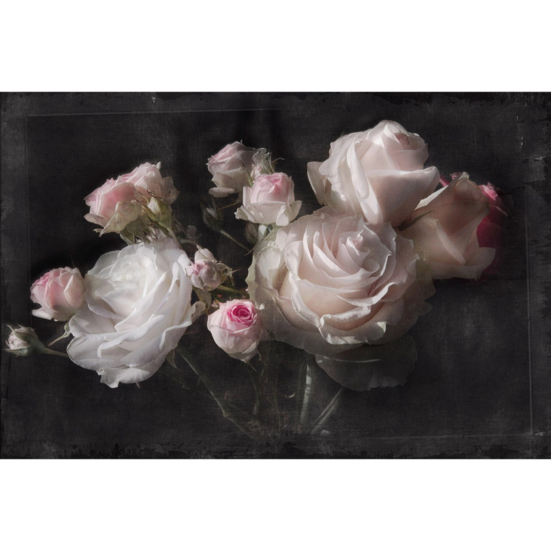 Komar Papírová fototapeta Eternity, 254 x 184 cm