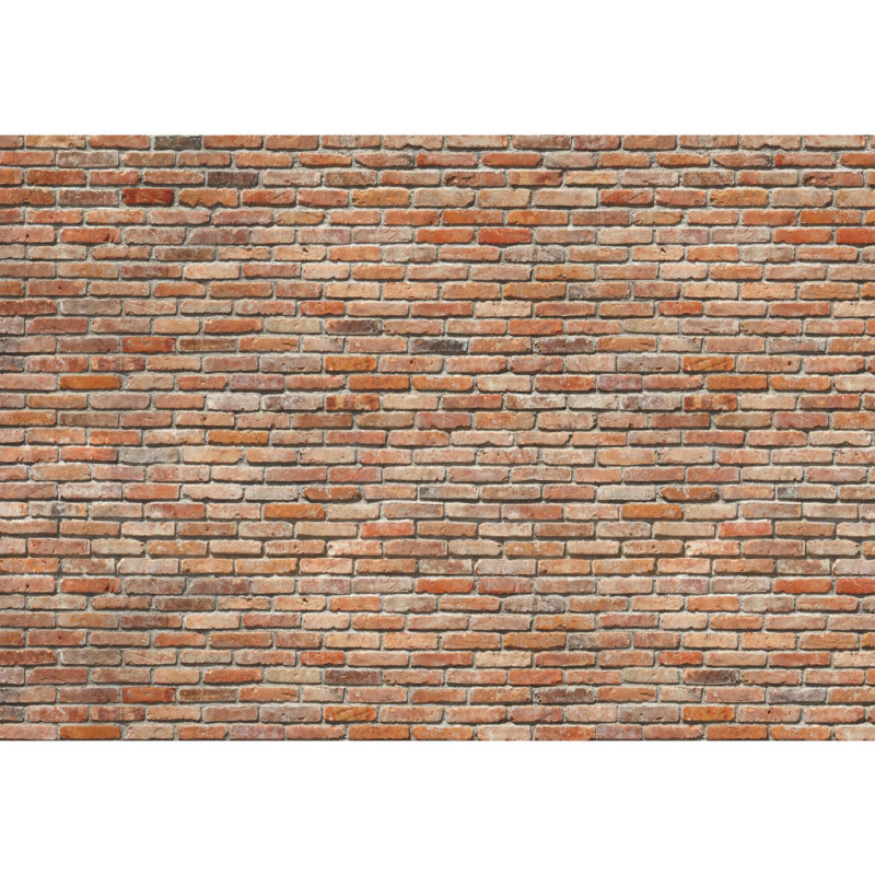 Komar Papírová fototapeta Backstein, 368 x 254 cm