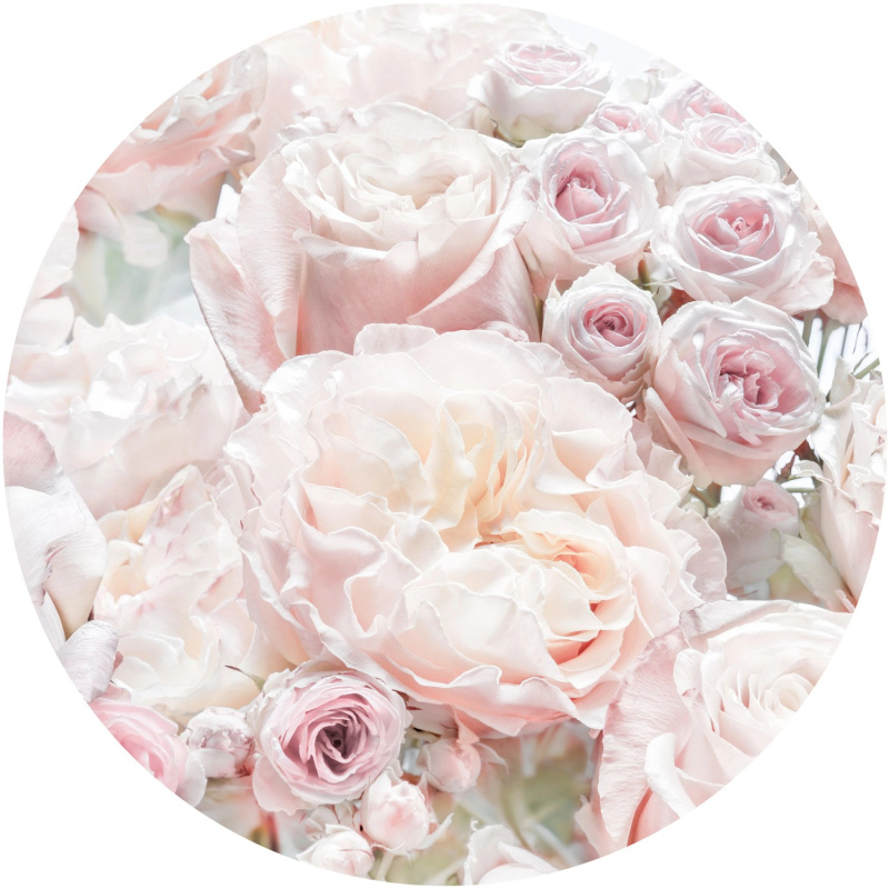 Komar Samolepicí vliesová fototapeta Dot Pink and Cream Roses pr. 125 cm