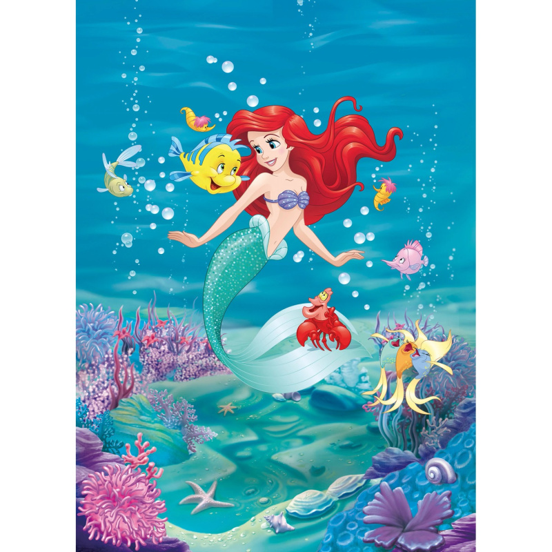 Komar Papírová fototapeta Ariel Singing, 184 x 254 cm