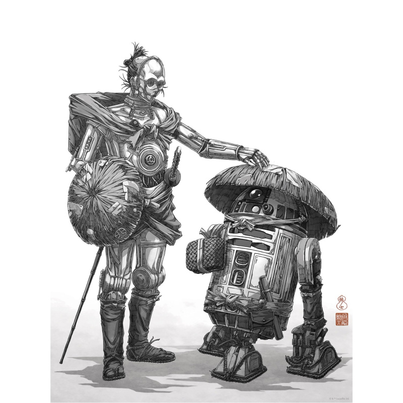 Komar Plakát Star Wars Vision Samurai Droids 30 x 40 cm