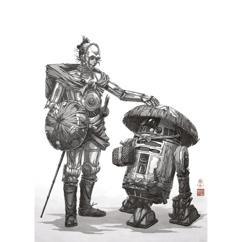 Komar Plakát Star Wars Vision Samurai Droids 50 x 70 cm