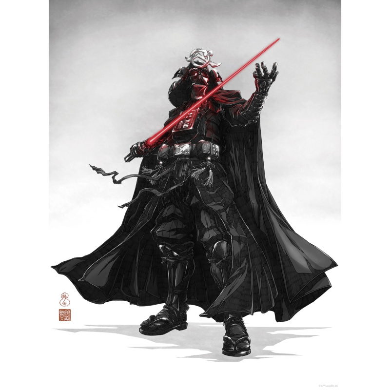 Komar Plakát Star Wars Vision Samurai Dark Lord 30 x 40 cm