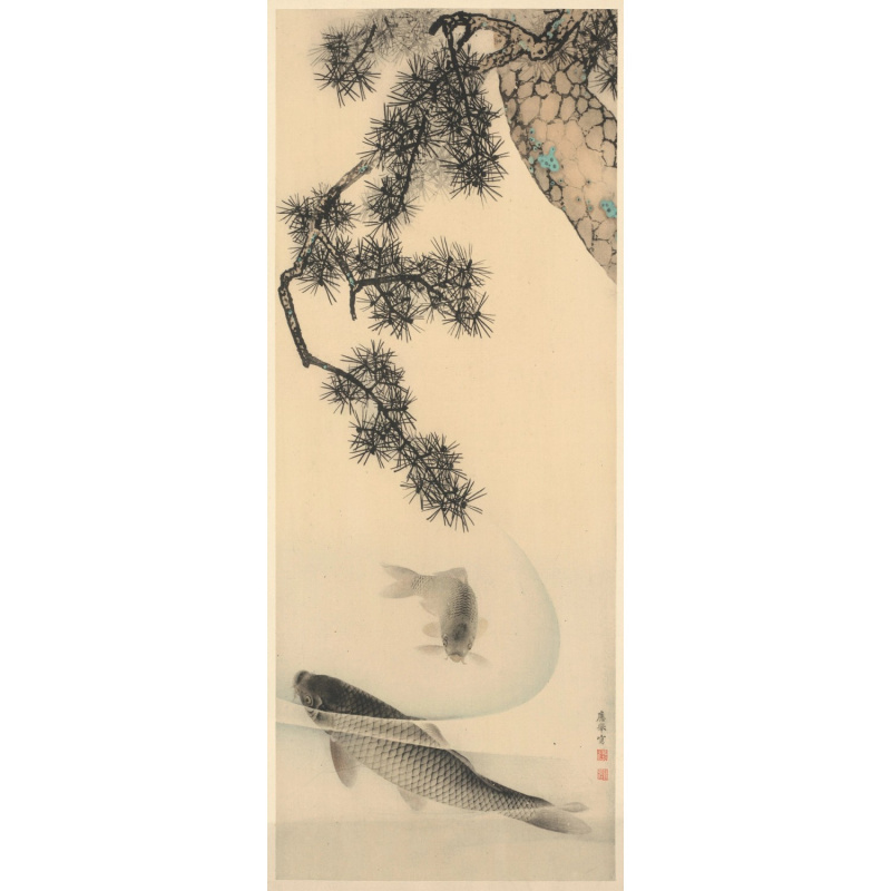 Komar Vliesová fototapeta Koi 100 x 250 cm