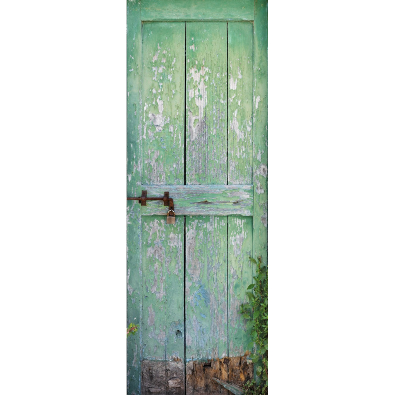 Komar Vliesová fototapeta Garden door 100 x 280 cm