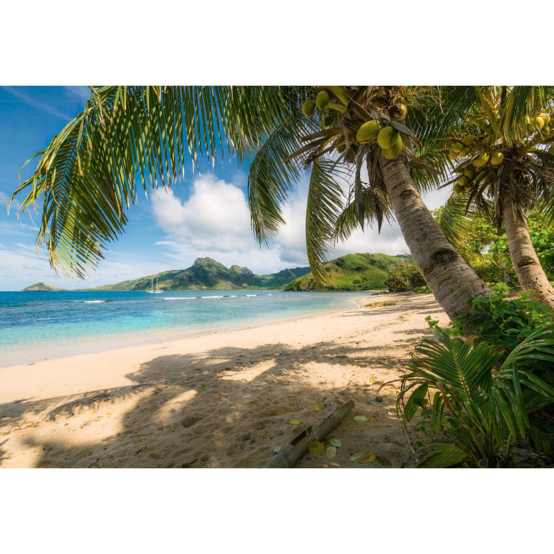 Komar Papírová fototapeta Castaway 368 x 254 cm