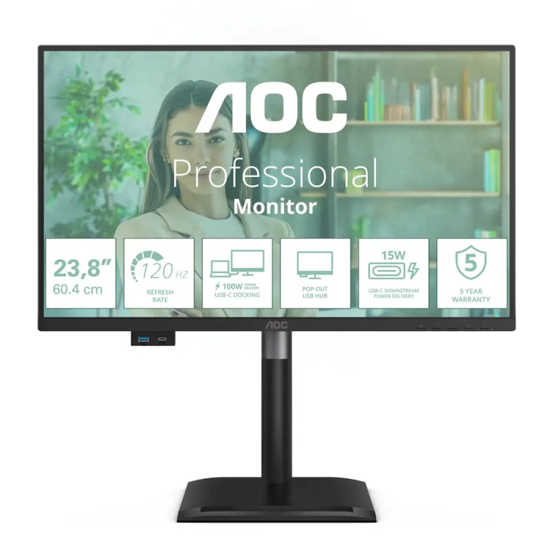 AOC Pro-Line 24P4CV monitor 24"