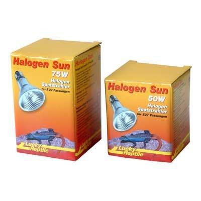 Lucky Reptile Halogen Sun 100w