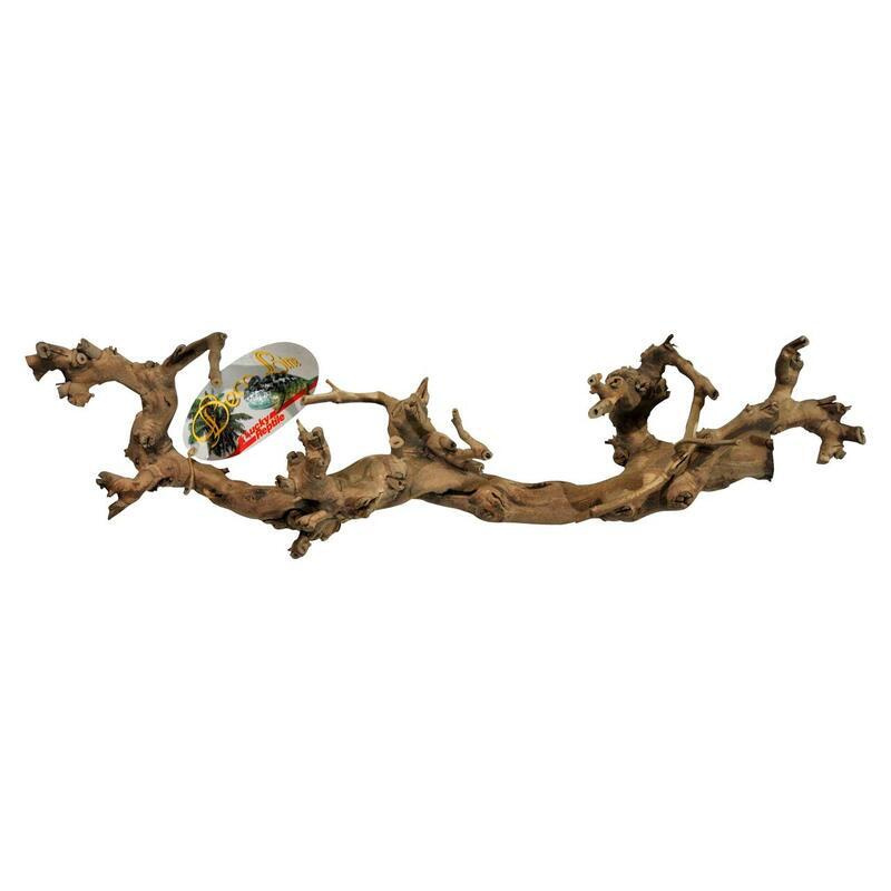 Lucky Reptile Grapevine Show 80-110 cm