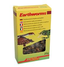 Lucky Reptile Earthworms 10g