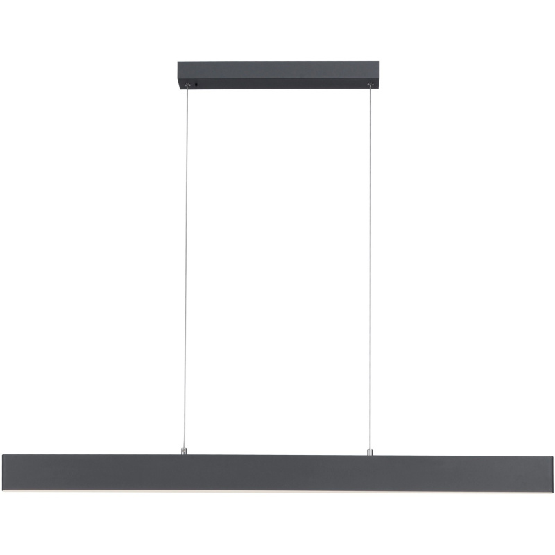 Just Light. Závěsné LED svítidlo Nila, 2x19W, 2700-5000K, antracit, 121 x 120 cm