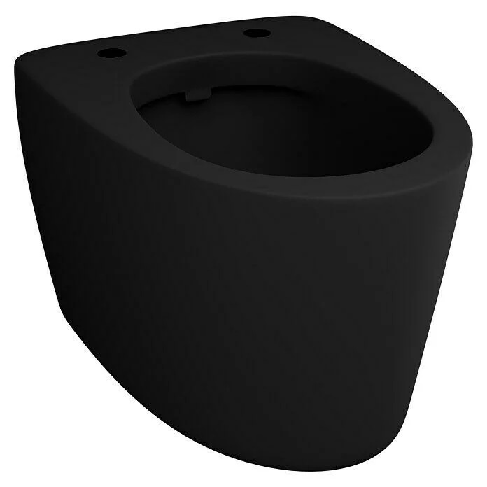 Závěsná WC mísa RAK Ceramics Feeling / sanitární keramika / černá Varianta: ivi1