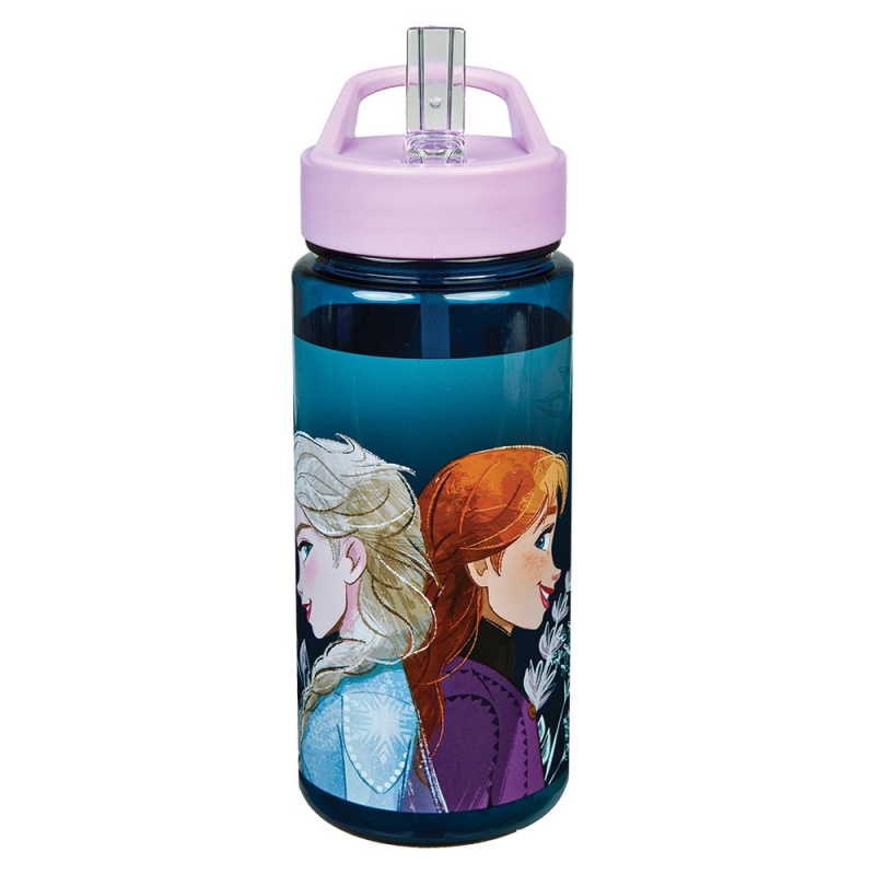 Láhev na pití 500 ml Frozen