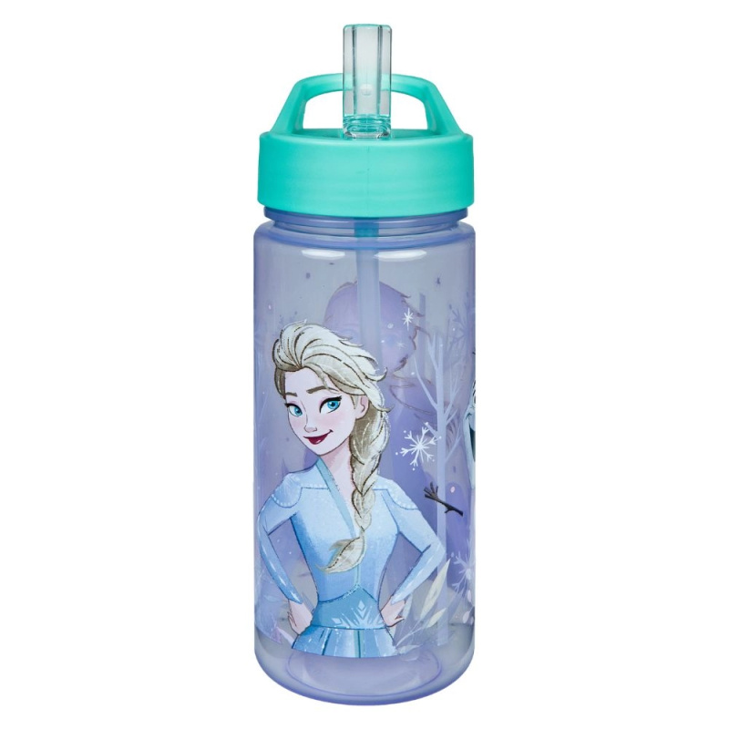 Láhev na pití 500 ml Frozen KARTONPP