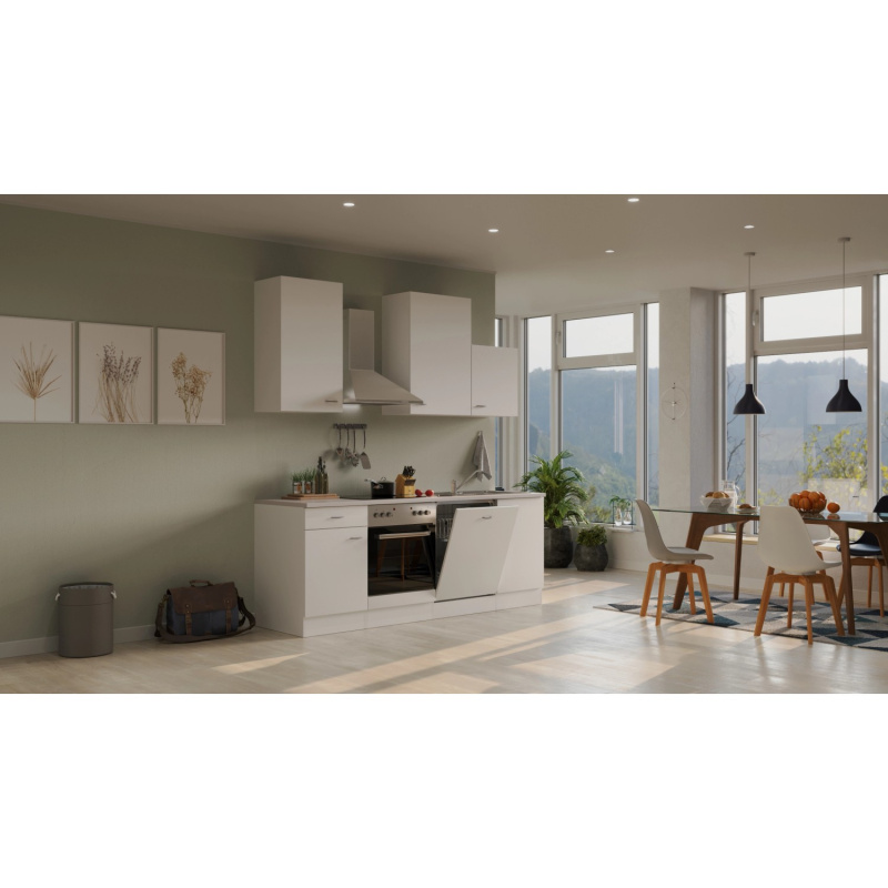 Flex-Well Kuchyně Wito 220 cm/typ 9 - trouba/varná desky/digestoř/myčka