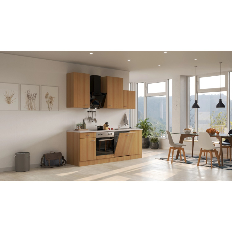 Flex-Well Kuchyně Nano 220 cm/typ 10 - trouba/varná deska/digestoř/myčka