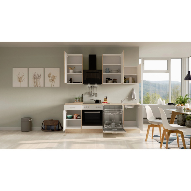 Flex-Well Kuchyně Florida 220 cm/typ 10 - trouba/varná deska/digestoř/myčka