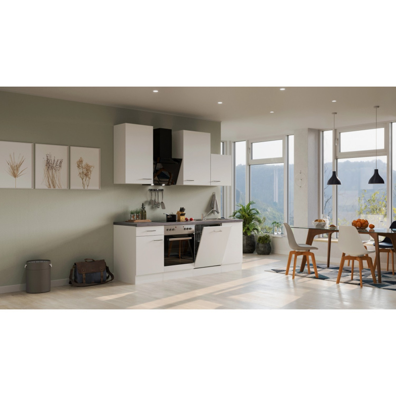 Flex-Well Kuchyně Joelina 220 cm/typ 5 - trouba/varná deska/myčka/digestoř