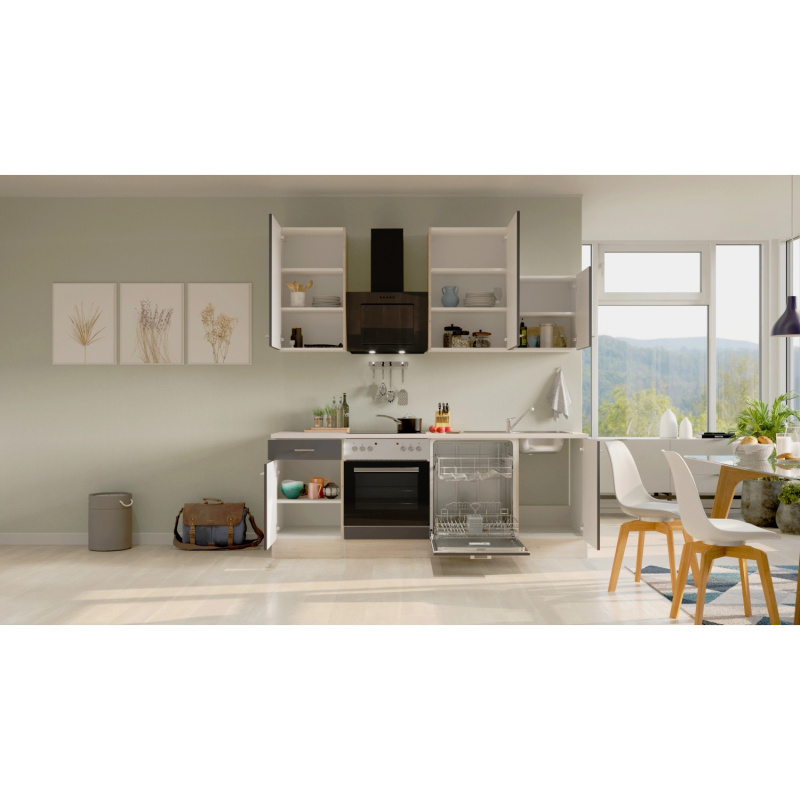 Flex-Well Kuchyně Morena 220 cm/typ 4 - trouba/varná deska/myčka/digestoř