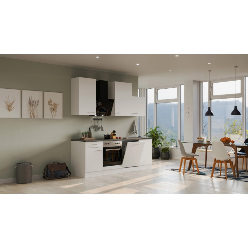 Flex-Well Kuchyně Lucca 220 cm/typ 4 - trouba/varná deska/myčka/digestoř