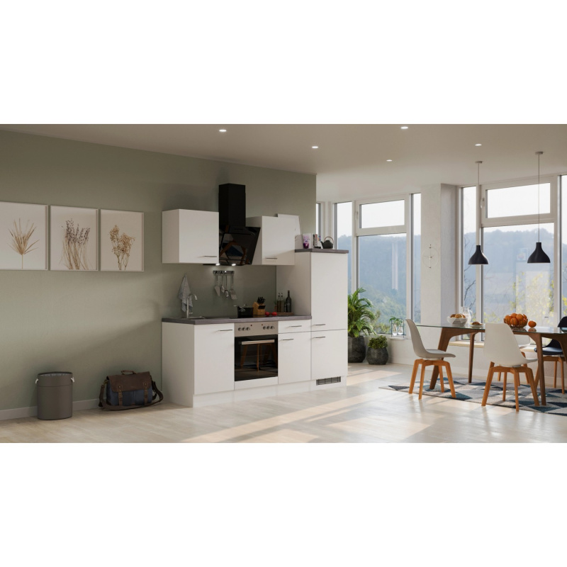 Flex-Well Kuchyně Joelina 220 cm/typ 2 -lednice/trouba/varná deska/digestoř