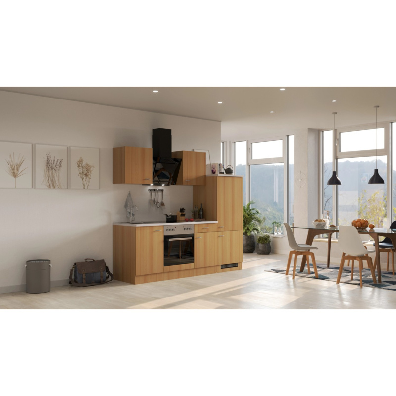 Flex-Well Kuchyně Nano 220 cm/typ 7 - trouba/varná deska/lednice/digestoř