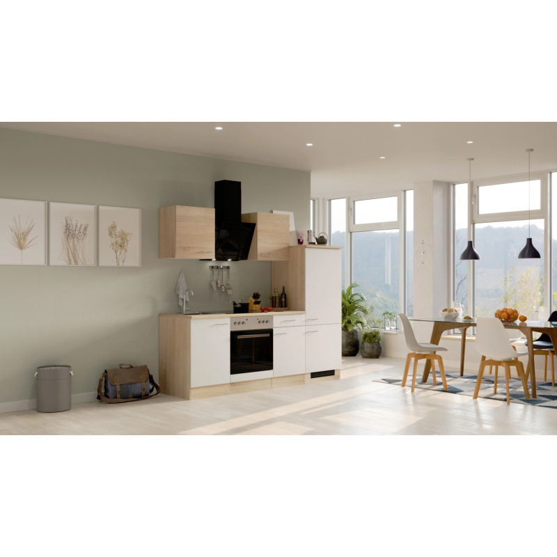 Flex-Well Kuchyně Florida 220 cm/typ 7 - trouba/varná deska/lednice/digestoř