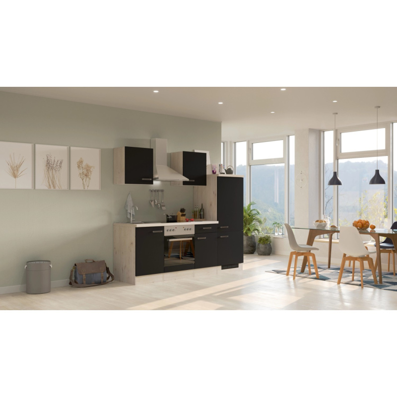 Flex-Well Kuchyně Lara 220 cm/typ 6 - trouba/varná deska/lednice/digestoř