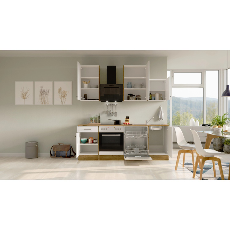 Flex-Well Kuchyně Vintea 220 cm/typ 6 - trouba/varná deska/myčka/digestoř