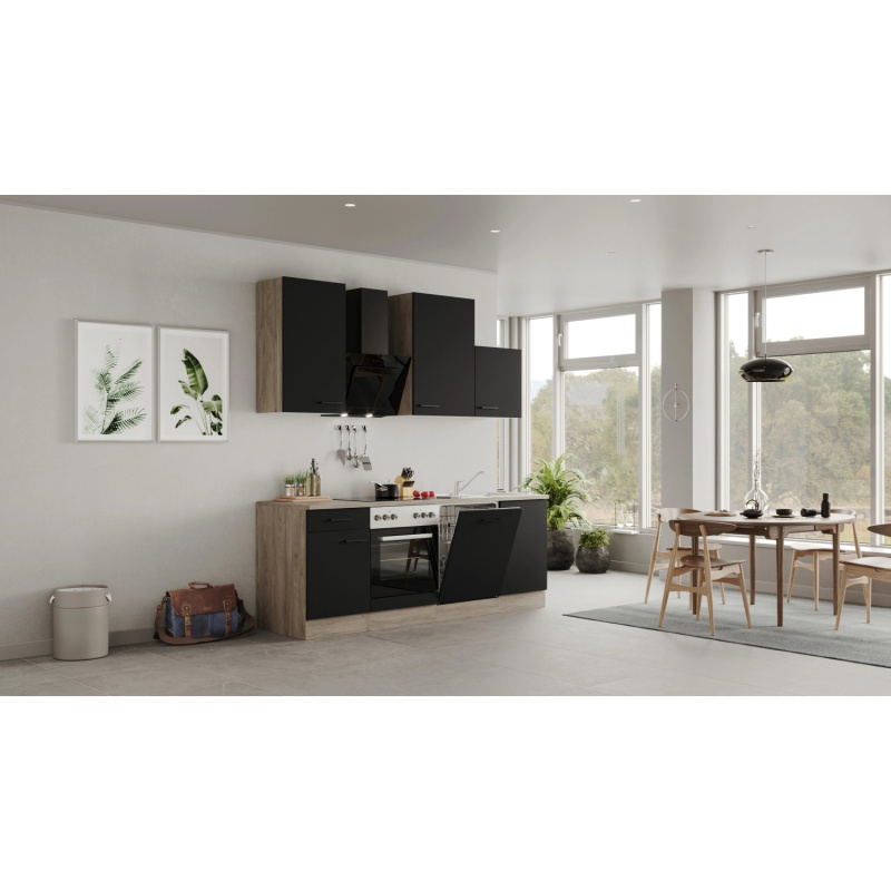 Flex-Well Kuchyně Capri 220 cm/typ 4 - trouba/varná deska/digestoř/myčka