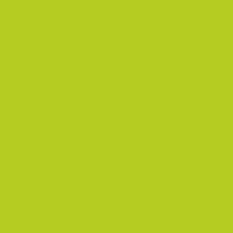 Barva ve spreji Montana Black 400ml – 6015 Wildlime