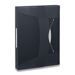 Box na spisy s gumičkou Esselte VIVIDA - A4, černý