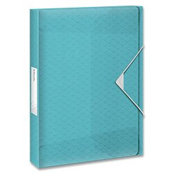 Box na dokumenty Esselte Colour´Breeze ledově modrá ESSELTE