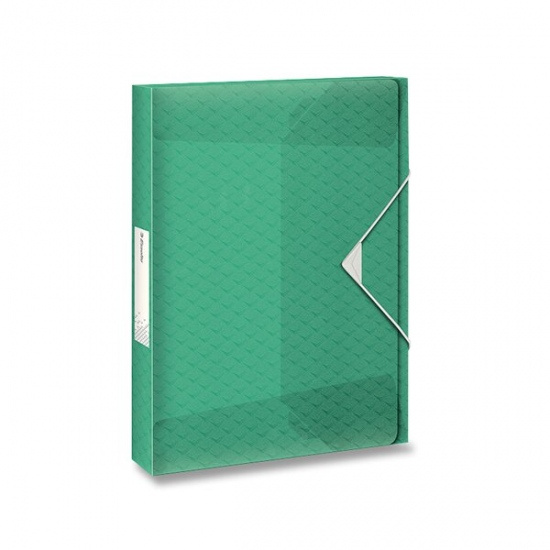 Box na dokumenty Esselte Colour´Breeze ledově zelená ESSELTE