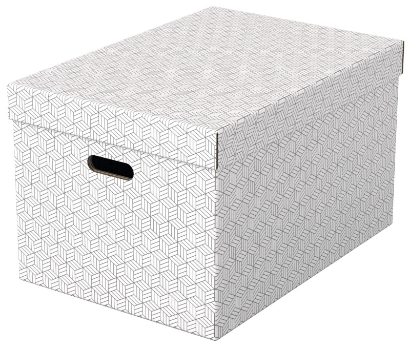 Úložné krabice Esselte Home - velké, bílé, 3 ks