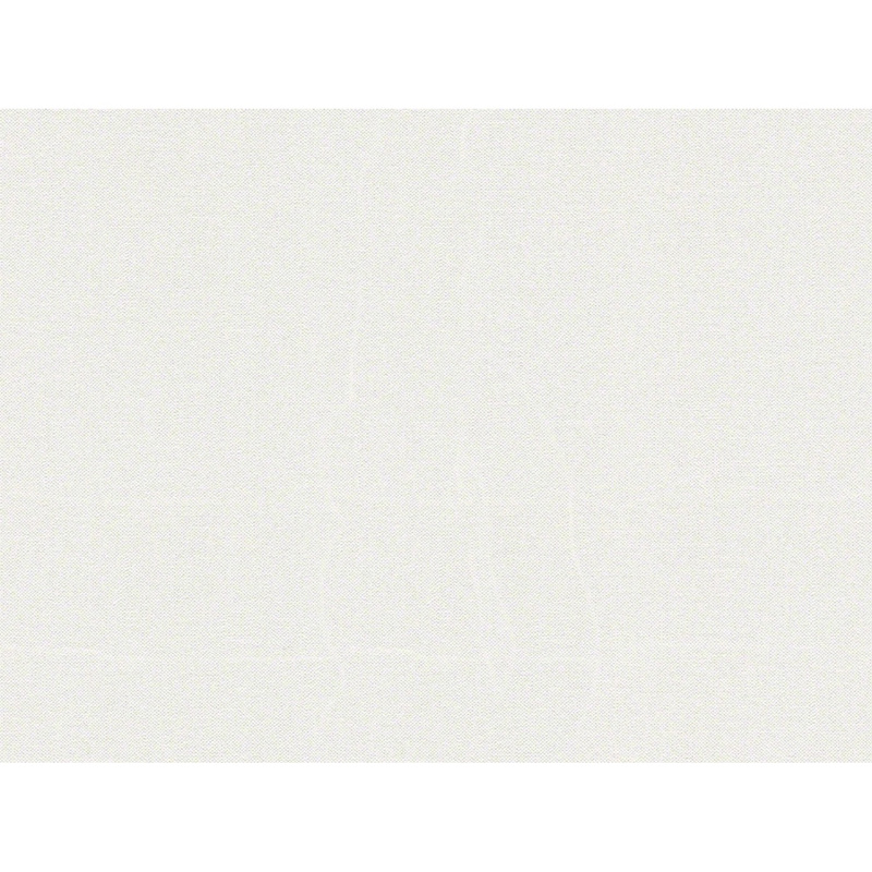 A. S. Creation Vliesová tapeta Attractive Uni bílo-stříbrná