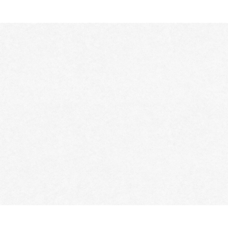 Pigment Tapeta vliesová bílá