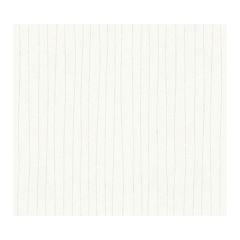 A. S. Creation Přetíratelná vliesová tapeta Meistervlies Creativ bílá 320041