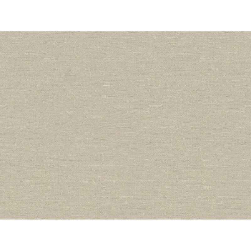 A. S. Creation Vliesová tapeta Desert Lodge Uni béžovo-hnědá