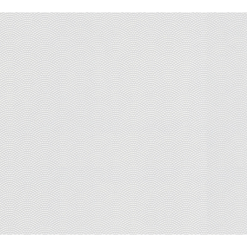 A. S. Creation Přetíratelná vliesová tapeta Meistervlies Creativ bílá 384531