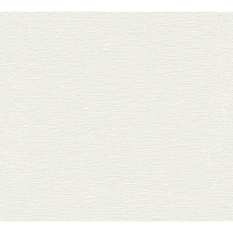 A. S. Creation Přetíratelná vliesová tapeta Meistervlies Creativ bílá 389751