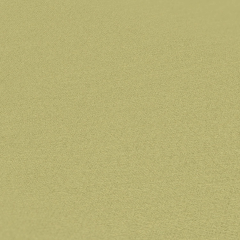 A. S. Creation Vliesová tapeta Antigua Colourful World světle zelená