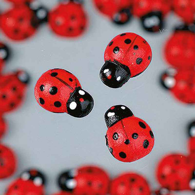 Berušky 1,2x0,9cm - dřevěné miniatury (30ks)