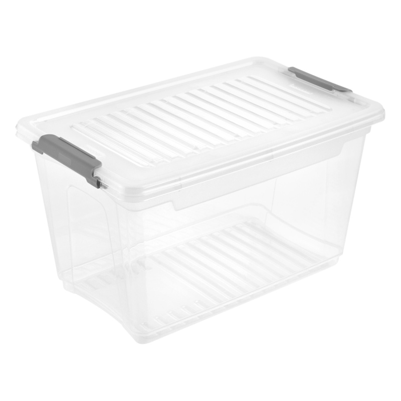 Plastový úložný box s víkem Leonie 5,4 l