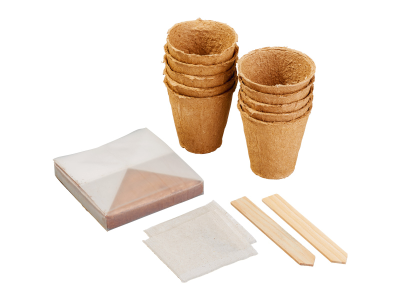 Parkside® Sada na pěstování rostlin (krabice s bio rajčaty)