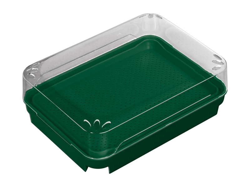Parkside® Sada na pěstování rostlin (bio-microgreens)