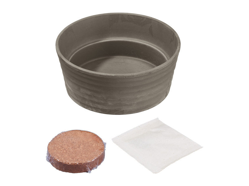 Parkside® Sada na pěstování rostlin (organická řeřicha ve slupce)
