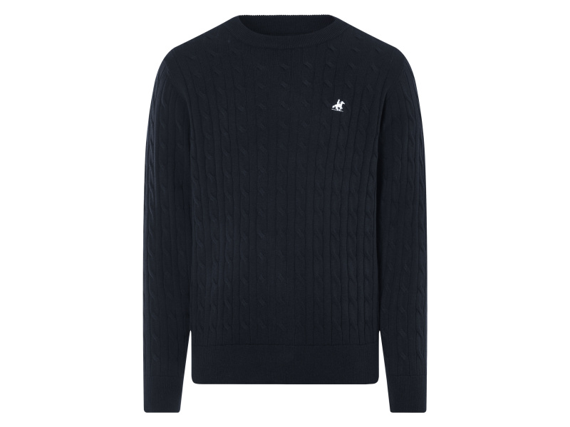 Livergy® Pánský svetr (navy modrá, M (48/50))